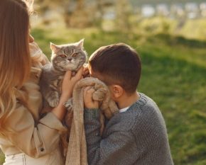 5-Tips-for-Adopting-a-Cat-blog-2-prfk8jhs8kusp912l9un16zysld2bgjrtk4m1c5re8